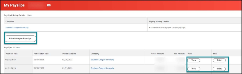 My Payslips listing