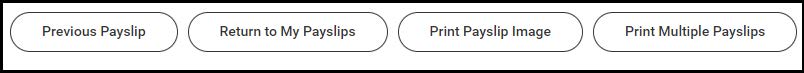 Buttons showing navigation links for payslips