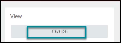 View Payslips